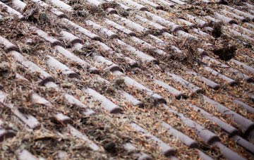 Burley In Wharfedale roof cleaning companies