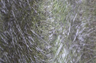 Burley In Wharfedale fibreglass roof work